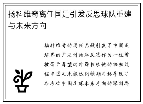 扬科维奇离任国足引发反思球队重建与未来方向